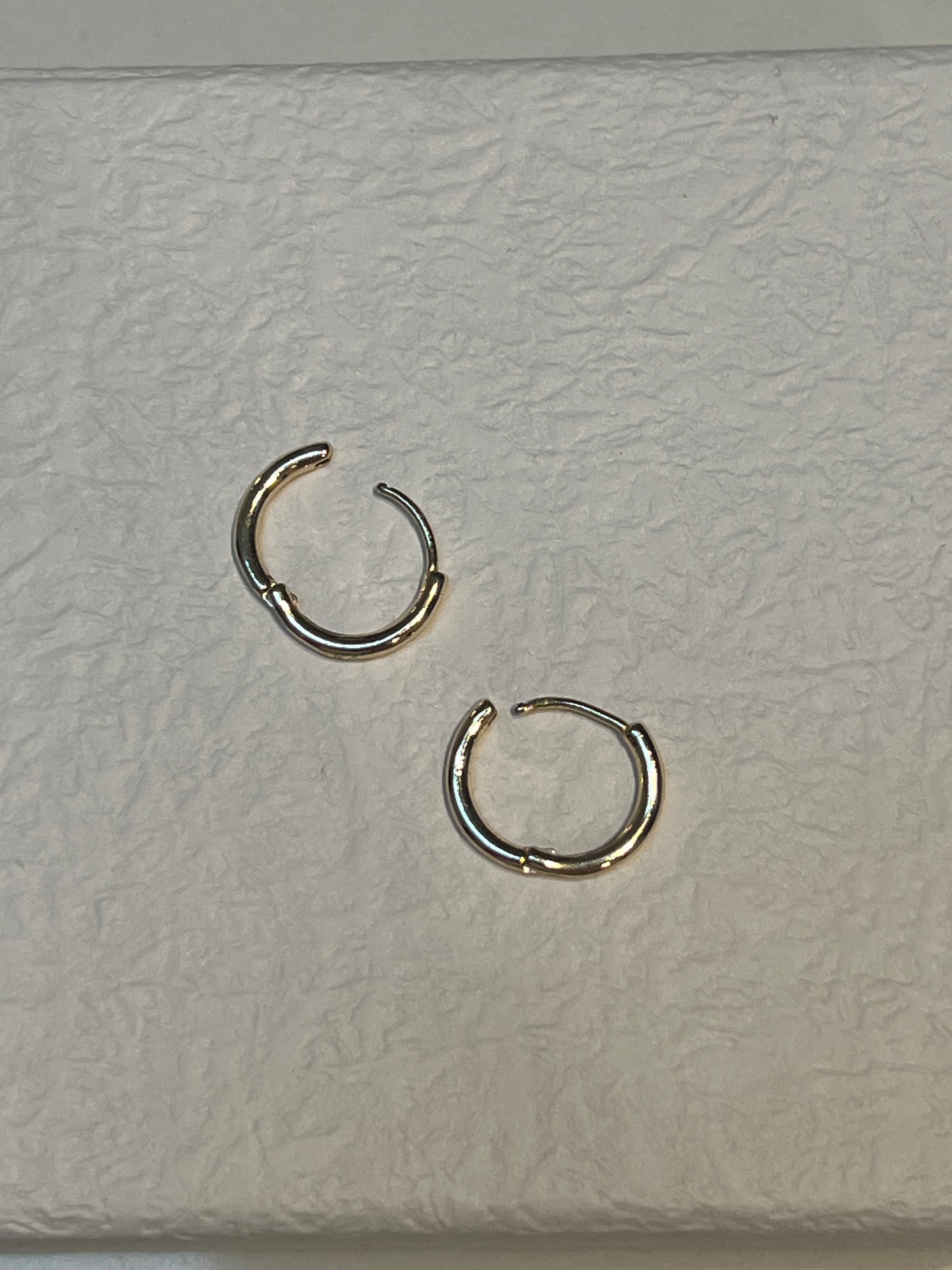 Gold Hoops Charm Earrings