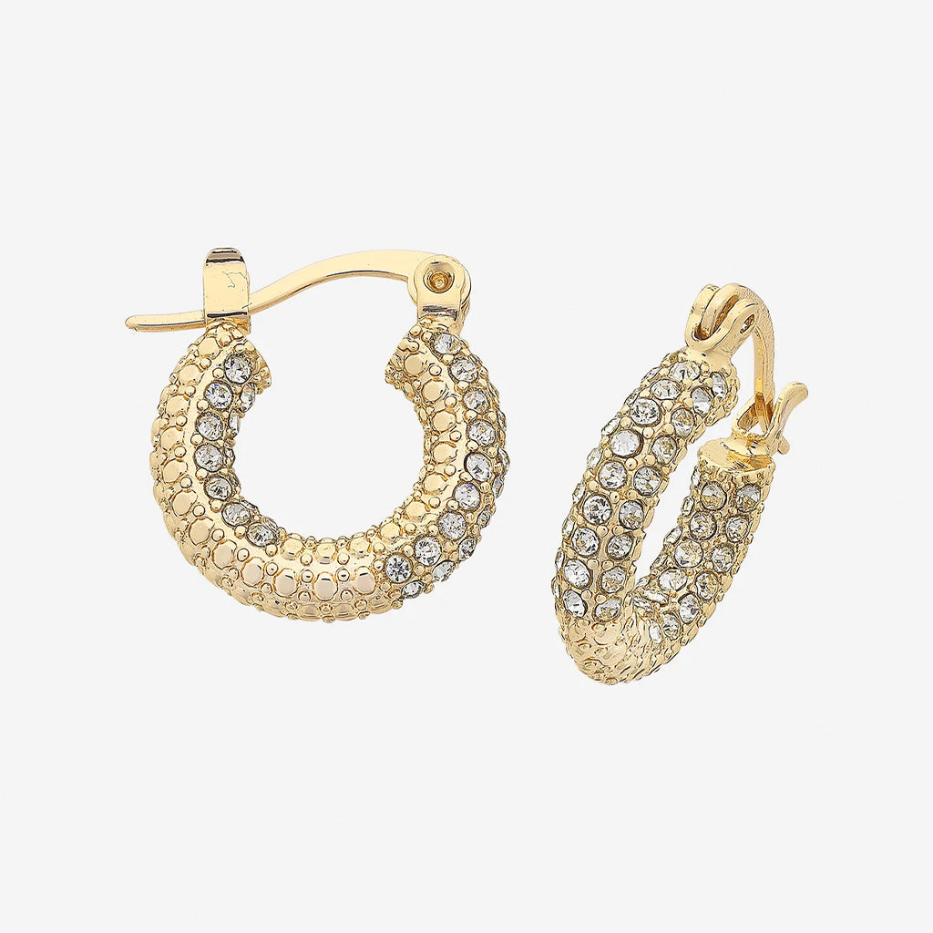 Pascal Gold Earrings