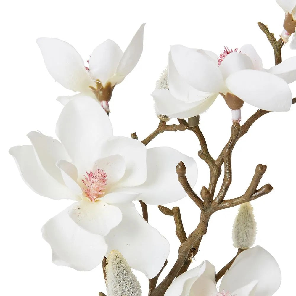 Mini Magnolia in Alma Vase