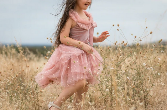 Clara Ballerina  Dress - Pink