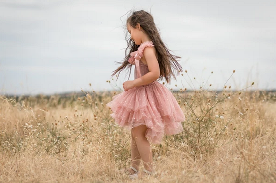 Clara Ballerina  Dress - Pink