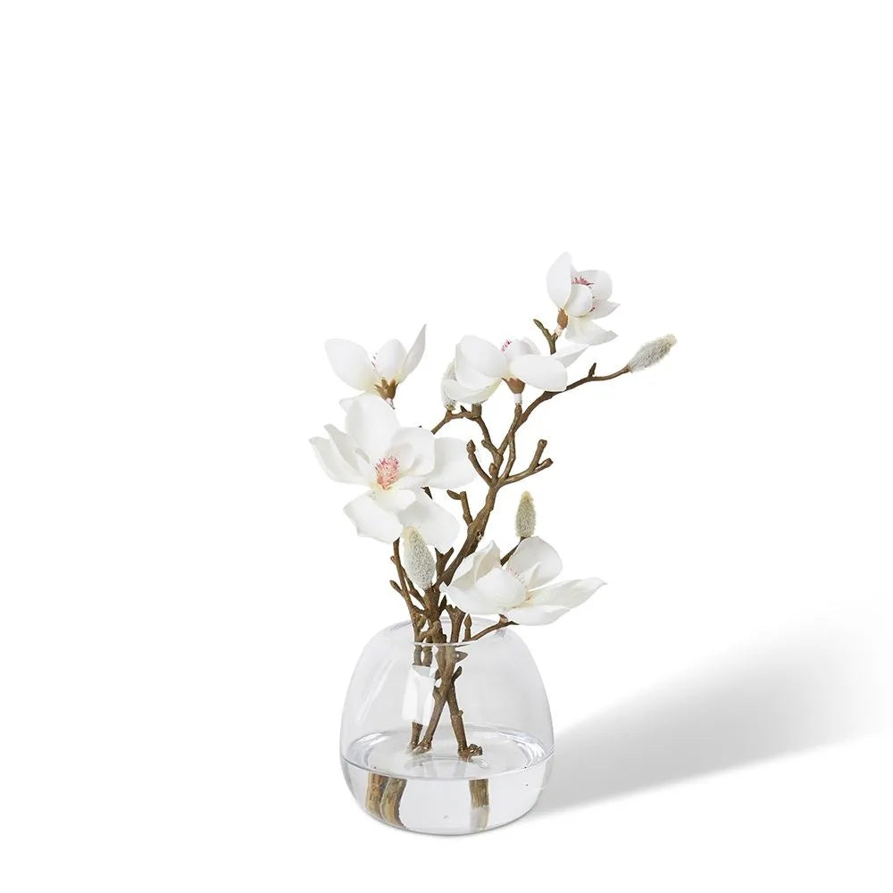 Mini Magnolia in Alma Vase